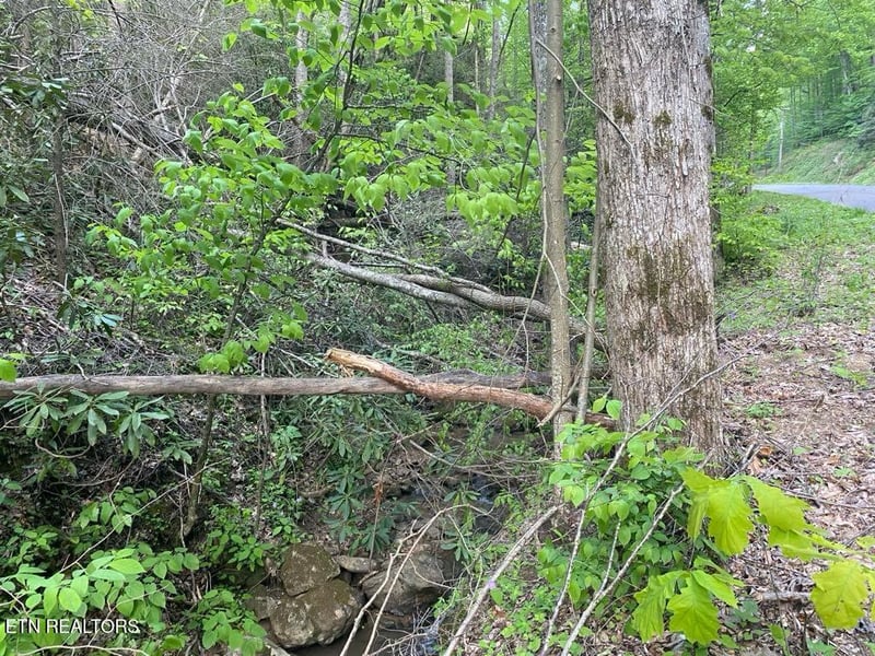 Lot 26 Alpine Dr, Sevierville, TN 37876