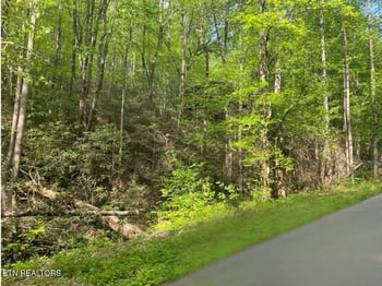 Lot 26 Alpine Dr, Sevierville, TN 37876