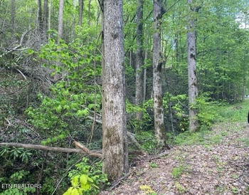 Lot 26 Alpine Dr, Sevierville, TN 37876