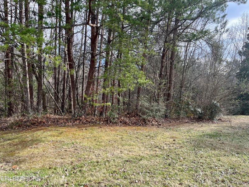 Lot 26 Blue Dun Ct, Pigeon Forge, TN 37863