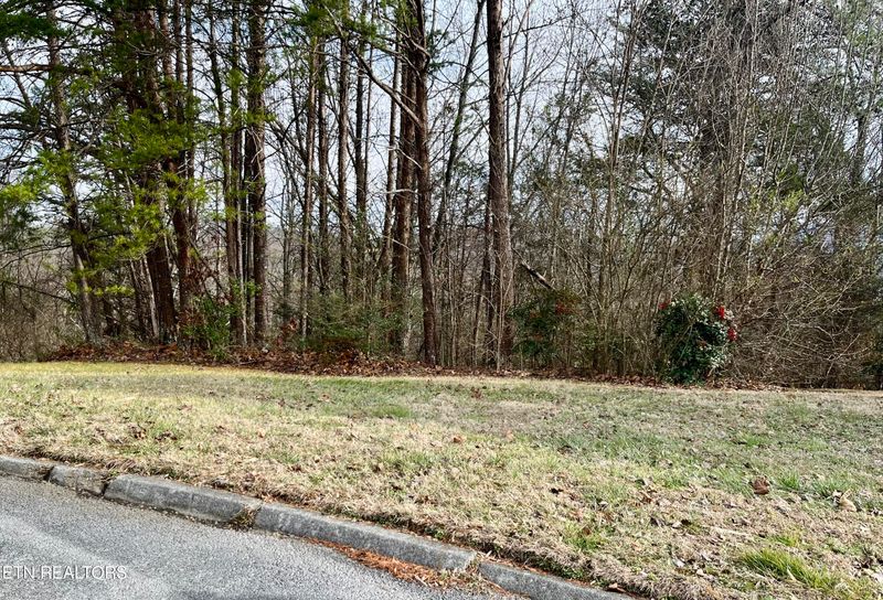 Lot 26 Blue Dun Ct, Pigeon Forge, TN 37863