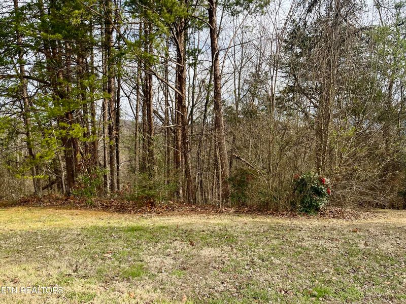 Lot 26 Blue Dun Ct, Pigeon Forge, TN 37863