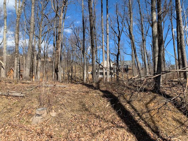 Lot 26 Deer Path Ln, Gatlinburg, TN 37738