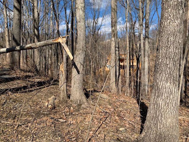 Lot 26 Deer Path Ln, Gatlinburg, TN 37738