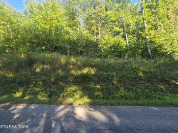 Lot 27-28 Summit Dr, Oneida, TN 37841