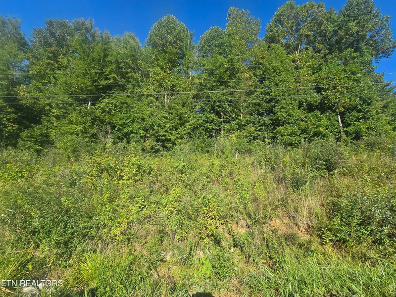 Lot 27-28 Summit Dr, Oneida, TN 37841