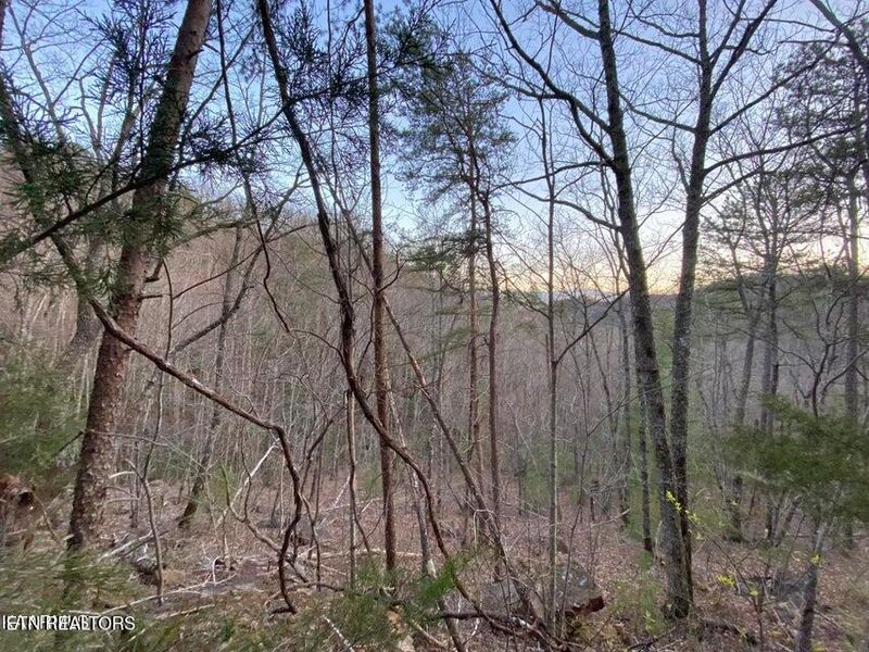 Lot 27 Beechwood St, Sevierville, TN 37876