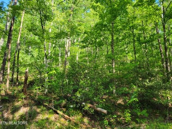Lot 27 Black Oak Dr, Sevierville, TN 37876