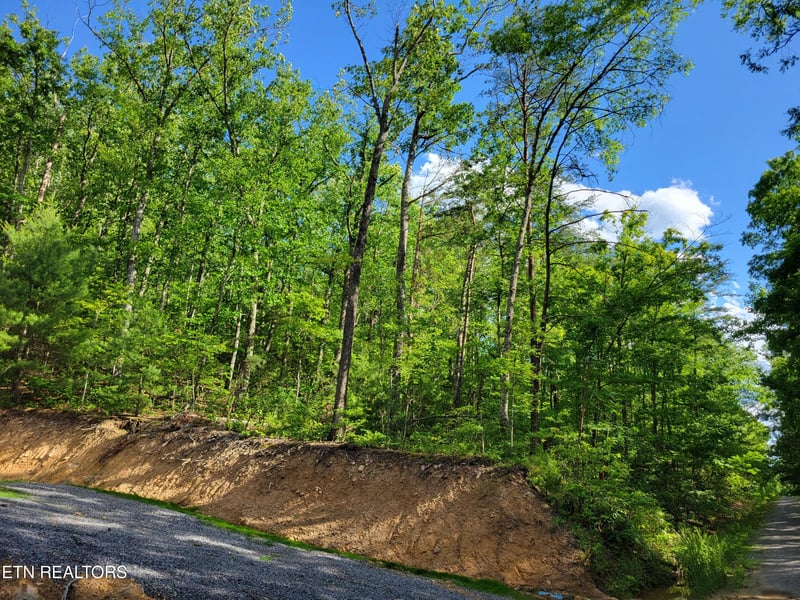 Lot 27 Black Oak Dr, Sevierville, TN 37876