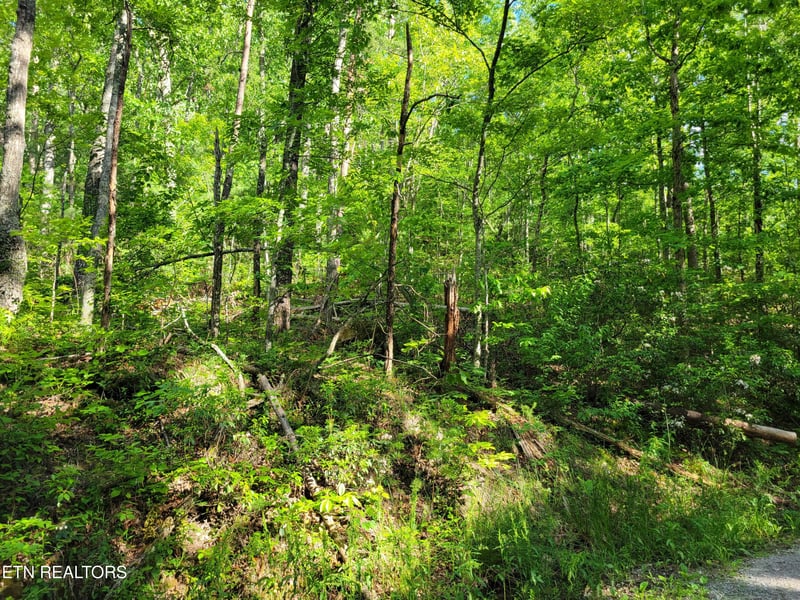 Lot 27 Black Oak Dr, Sevierville, TN 37876