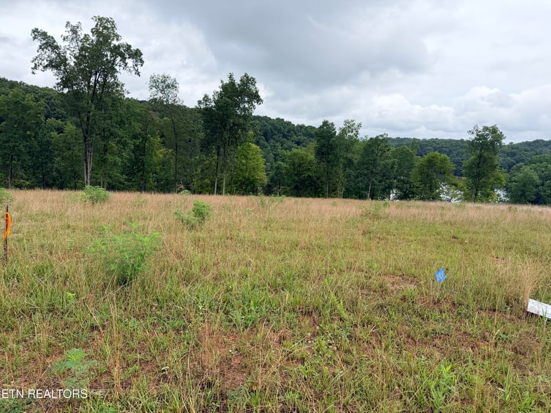 Lot 27 Graystone, Morristown, TN 37814