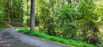 Lot 28 Sugar Maple Loop Rd, Sevierville, TN 37862
