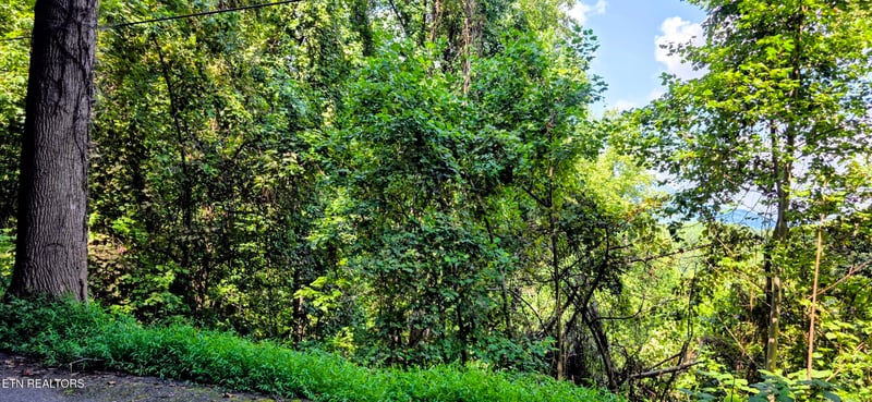 Lot 28 Sugar Maple Loop Rd, Sevierville, TN 37862