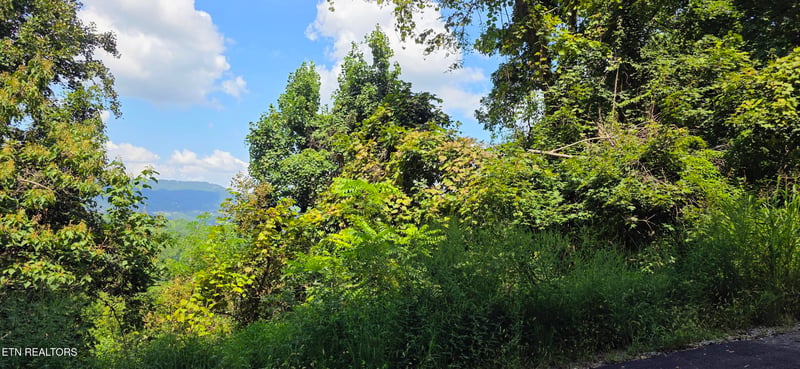 Lot 28 Sugar Maple Loop Rd, Sevierville, TN 37862