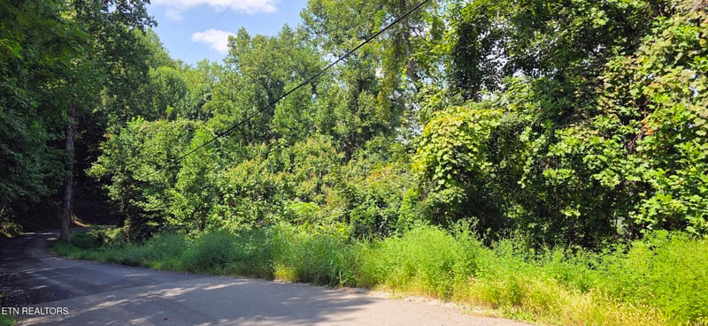 Lot 28 Sugar Maple Loop Rd, Sevierville, TN 37862
