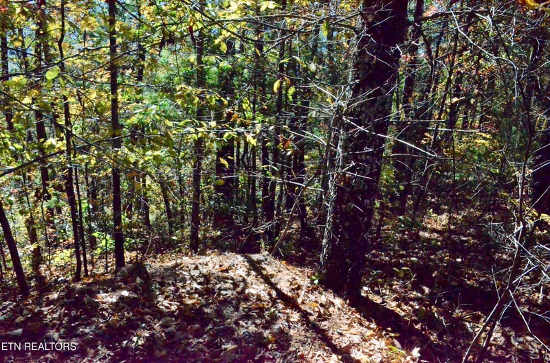 Lot 28R Mountain Retreat Rd Lot 28R, Townsend, TN 37882