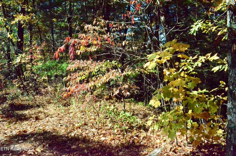 Lot 28R Mountain Retreat Rd Lot 28R, Townsend, TN 37882