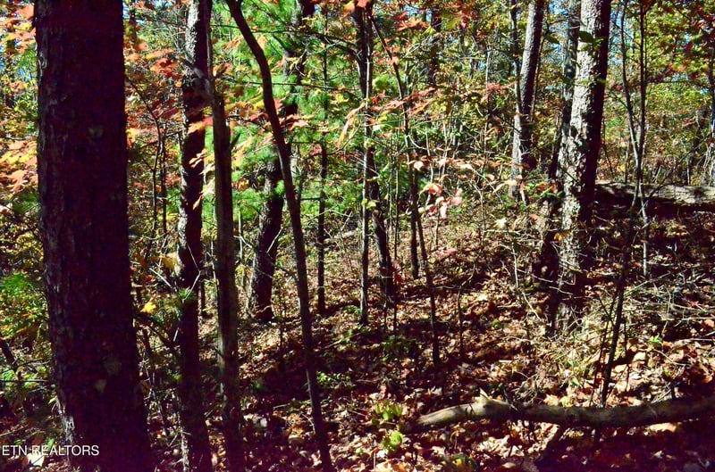 Lot 28R Mountain Retreat Rd Lot 28R, Townsend, TN 37882