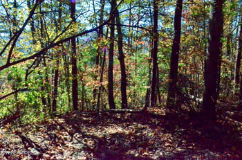 Lot 28R Mountain Retreat Rd Lot 28R, Townsend, TN 37882