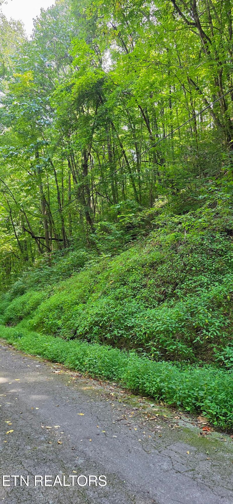 Lot 29 Black Walnut Flats Rd, Sevierville, TN 37862