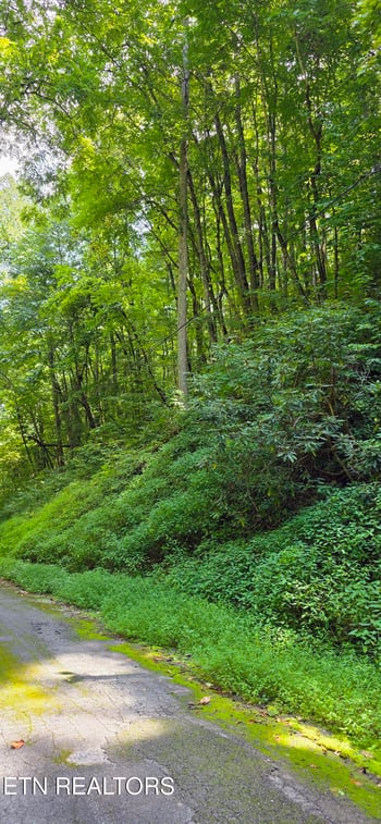 Lot 29 Black Walnut Flats Rd, Sevierville, TN 37862
