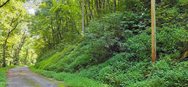 Lot 29 Black Walnut Flats Rd, Sevierville, TN 37862