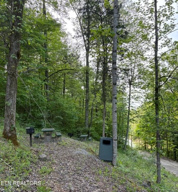 lot 29 Saddleridge Dr, Speedwell, TN 37870