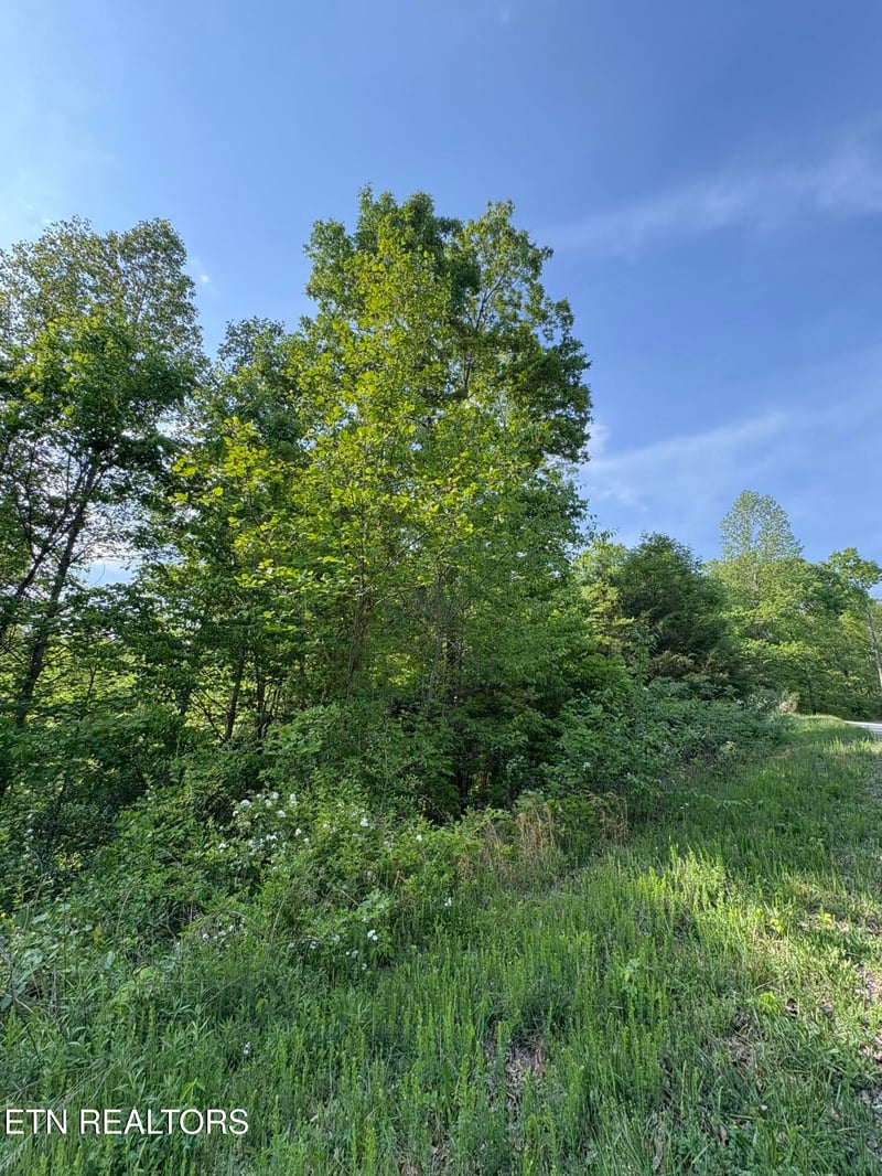 lot 29 Saddleridge Dr, Speedwell, TN 37870