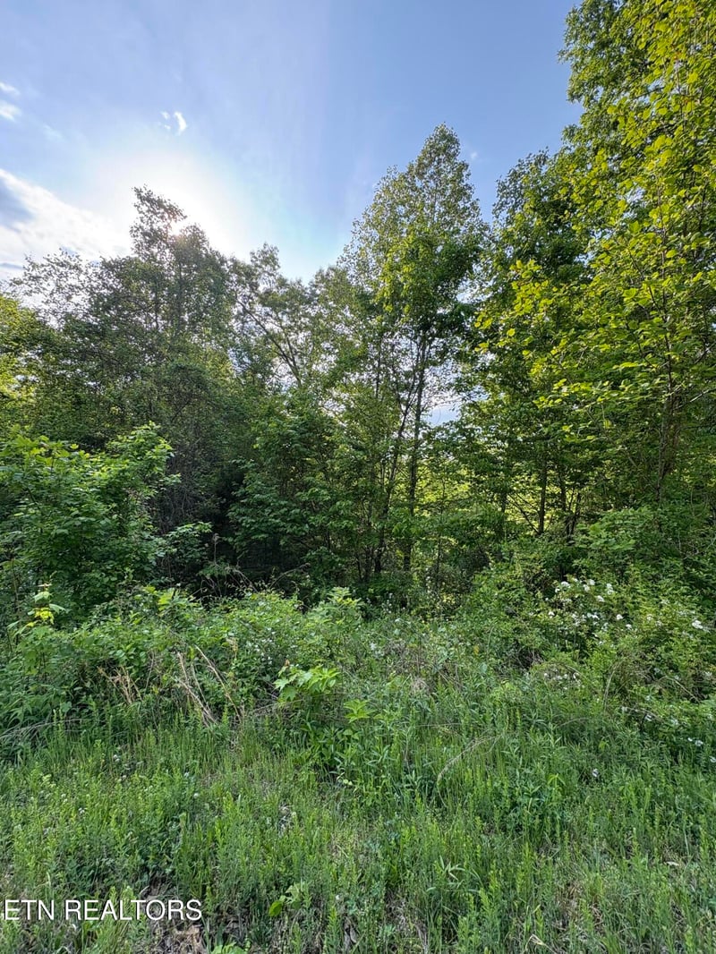 lot 29 Saddleridge Dr, Speedwell, TN 37870