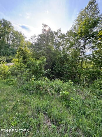 lot 29 Saddleridge Dr, Speedwell, TN 37870