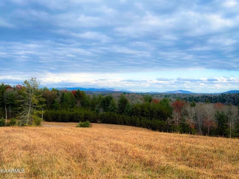 Lot 2A Hwy 62, Deer Lodge, TN 37726