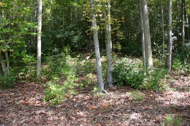 Lot 2b Rocky Flats Rd, Cosby, TN 37722