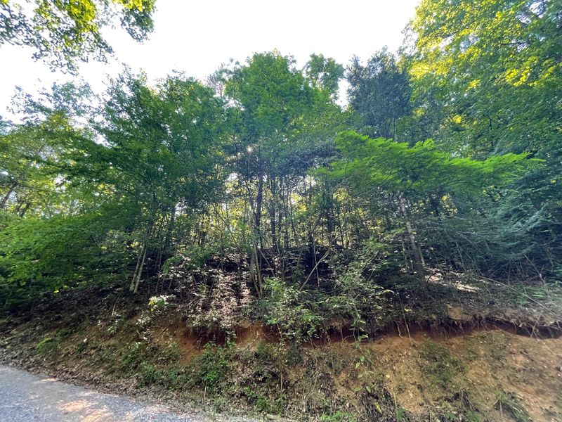 Lot 2R-A Little Cove Rd, Sevierville, TN 37876