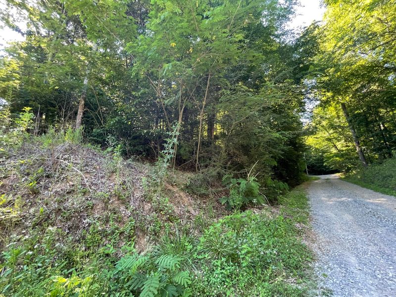 Lot 2R-A Little Cove Rd, Sevierville, TN 37876