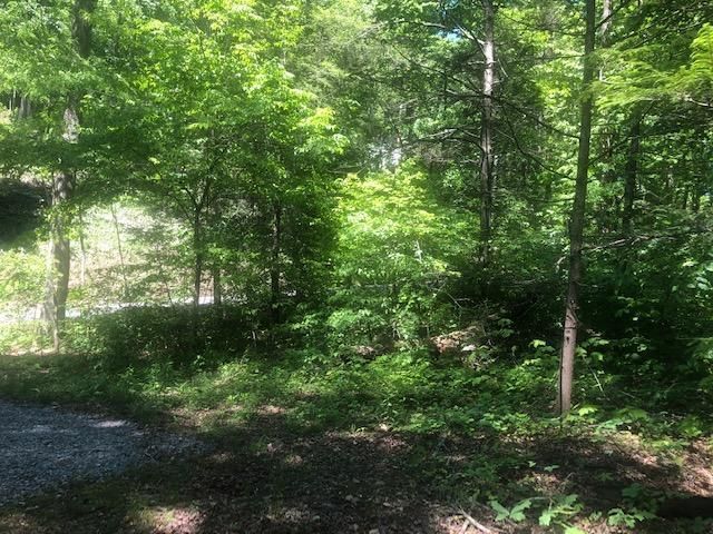 Lot 2r Low Gap Rd, Gatlinburg, TN 37738