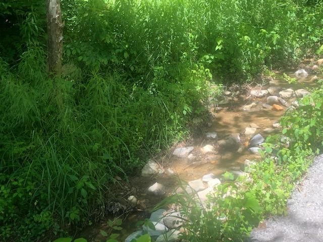 Lot 2r Low Gap Rd, Gatlinburg, TN 37738