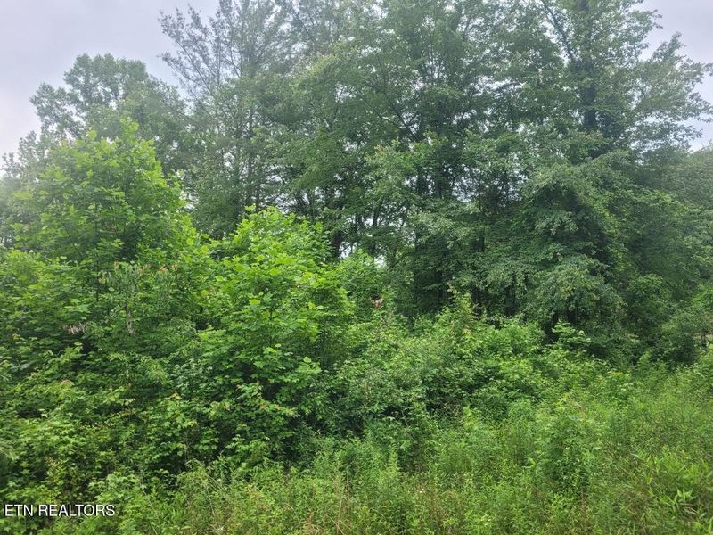 Lot 2R2 Mill Rd, Wartburg, TN 37887