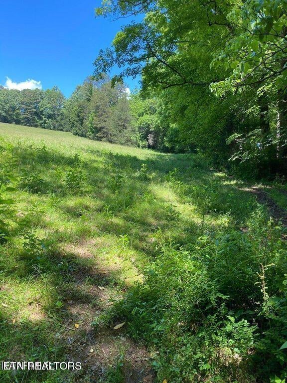 Lot 3 Chapman Rd, Lafollette, TN 37766