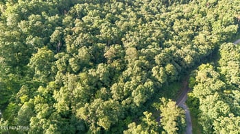 LOT 3 Derrick Rd, Sevierville, TN 37876