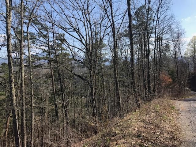 Lot 3 Fox View Rd, Sevierville, TN 37876