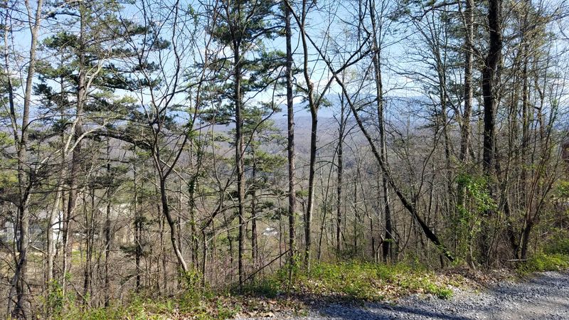 Lot 3 Fox View Rd, Sevierville, TN 37876