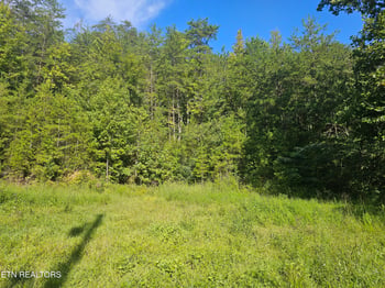 Lot 3 Franklin Way, Sevierville, TN 37876