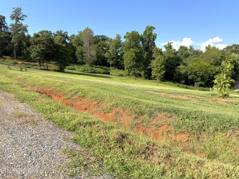 Lot 3 Hill Valley Rd, Friendsville, TN 37737