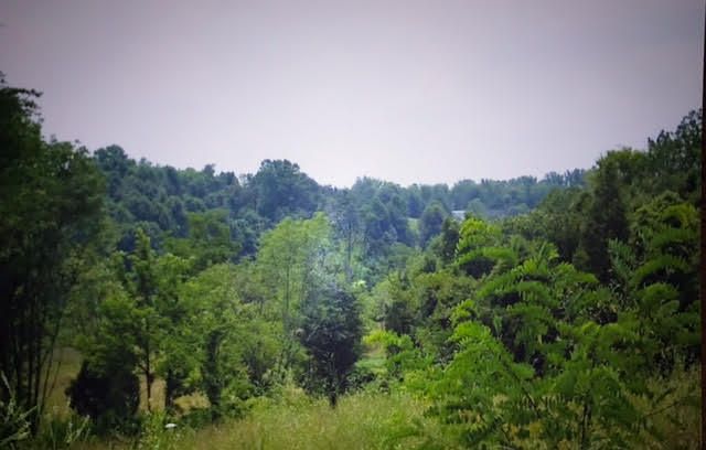 Lot 3 Kodak Rd, Kodak, TN 37764