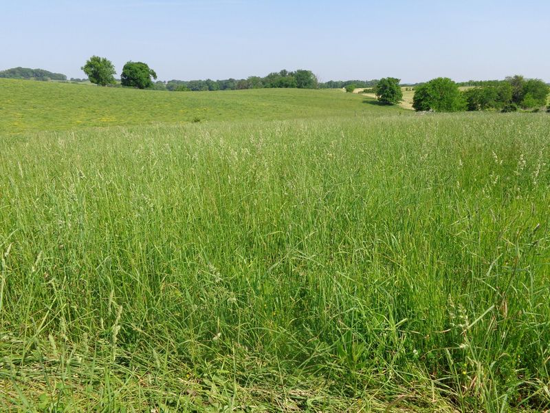 Lot 3 Lowes Ferry Rd, Louisville, TN 37777