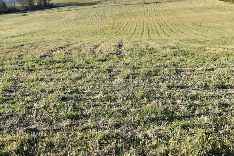Lot 3 Mccleary Rd, Sevierville, TN 37876