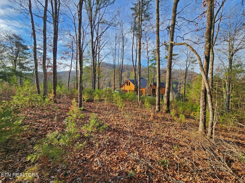 Lot 3 Mountain Ash Way, Sevierville, TN 37876