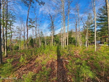 Lot 3 Mountain Ash Way, Sevierville, TN 37876