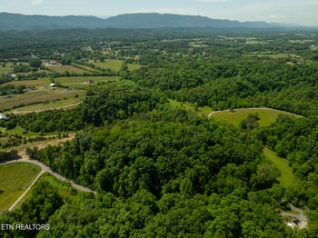 Lot 3 N Knob Creek Rd, Seymour, TN 37865