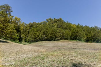 Lot 3 N Knob Creek Rd, Seymour, TN 37865